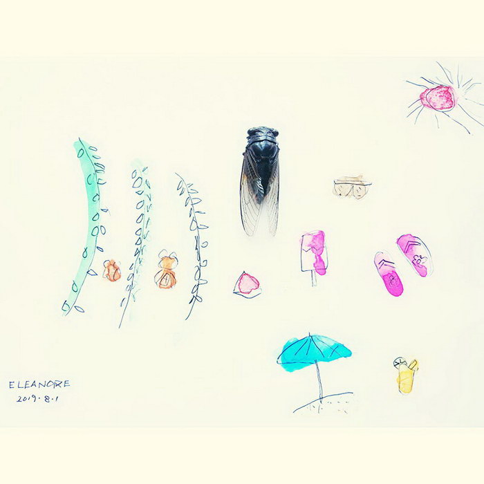 First Insect Specimen - Cicada#Insect Painting#